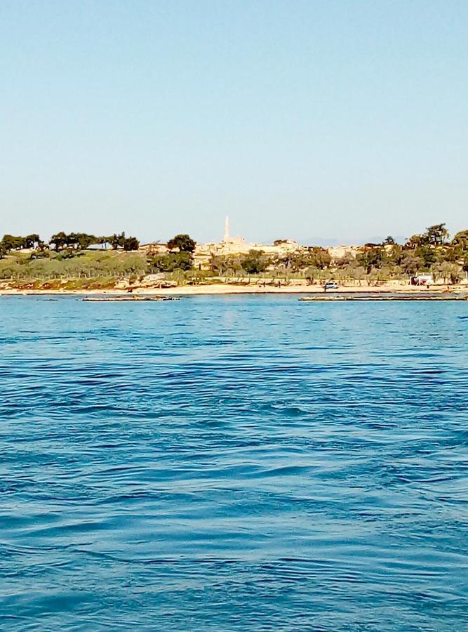 Lefteris Beautiful Aegina Villa Exteriör bild