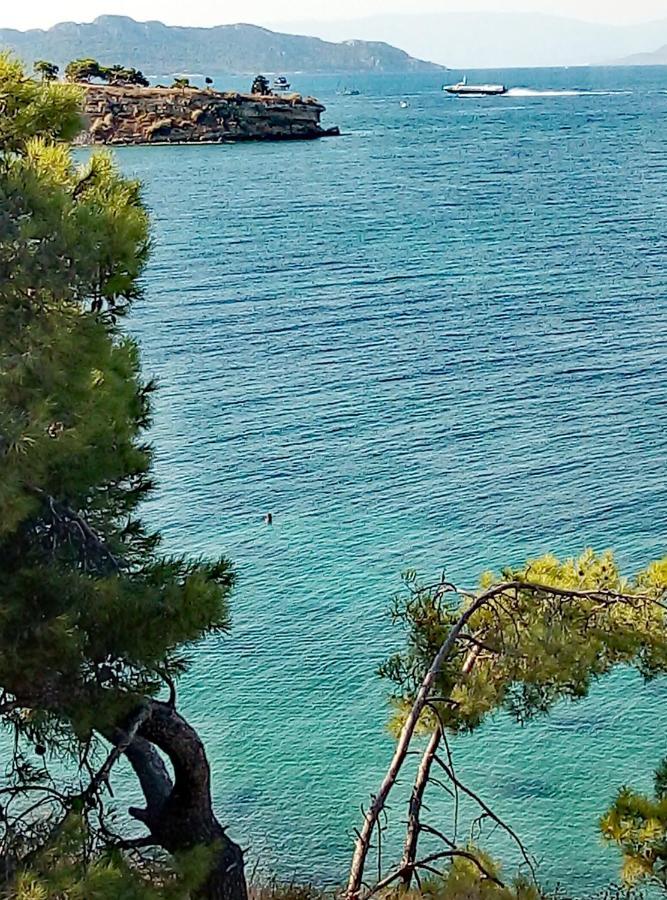 Lefteris Beautiful Aegina Villa Exteriör bild